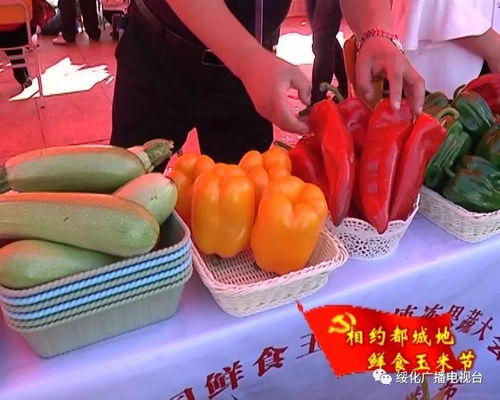 寒地黑土农产品芳香四溢 展销洽谈孕育无限商机