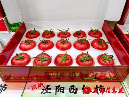 泾阳县2026年“番茄领鲜 陕亮生活”农产品产销对接活动圆满举行