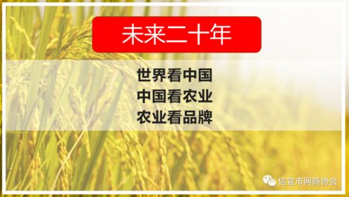 信宜这家农业公司拿到4个商标证 农产品打造品牌的八步法